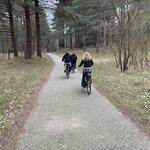 Photo taken by Monique L