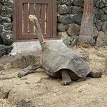 Photo taken by Heather E