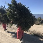 Photo taken by Rebecca S