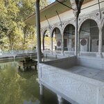 Photo taken by Michael E