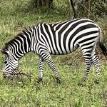 Photo taken by Michael L