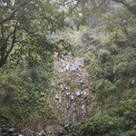 Photo taken by Brett F