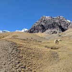 Ausungate | Photo taken by Mark F