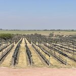 Photo taken by Julie S