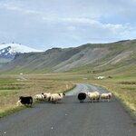 Photo taken by Lauren P