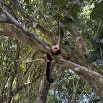 Photo taken by christy l