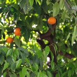 Photo taken by Susan M