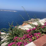 Photo taken by Diana N