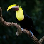 Photo taken by Dawne D