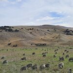 Photo taken by Dan J