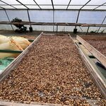 Photo taken by Joyce C