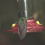 Photo taken by Marcia G