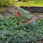 Photo taken by Sue F