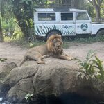 Photo taken by Brittany Leslie Lynn S