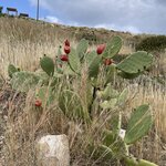 Photo taken by Shanna H