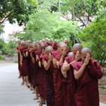 Photo taken by Pip S