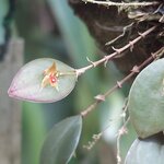 Photo taken by Kathy K