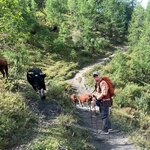 Photo taken by Irwin M