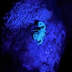 Photo taken by Kiko S