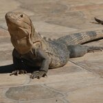 Photo taken by Brett F