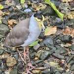 Photo taken by Dan J