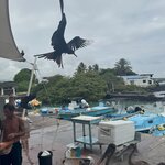 Photo taken by Thomas L