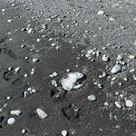 Photo taken by shelley w