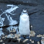 Photo taken by Natascia V