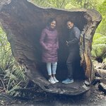 Photo taken by Kolla S