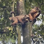 Photo taken by Kara H