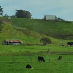 Photo taken by Maggie W