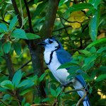 Photo taken by Dawne D