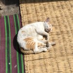 Photo taken by Cynthia T