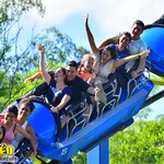 Photo taken by Suzette C