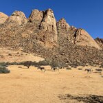 Photo taken by Michael G