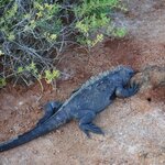 Photo taken by Richard P