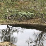 Trail to Alta Canyon | Photo taken by florence P
