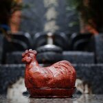 Photo taken by Caroline K