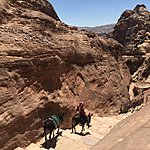 Photo taken by Nicola H