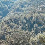 Photo taken by don m