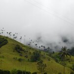 Photo taken by Brett F