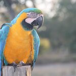 Photo taken by Kelvin V