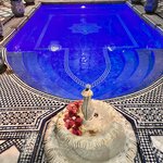 Photo taken by Sallye M