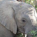 Photo taken by Sandro P