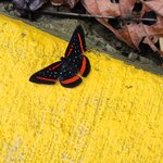 Photo taken by Patricia D