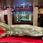 Photo taken by Joe S