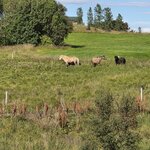 Photo taken by Scott C