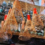 Photo taken by E.J. B