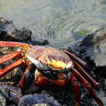 Photo taken by Patricia D