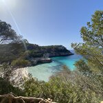 Photo taken by Diana C